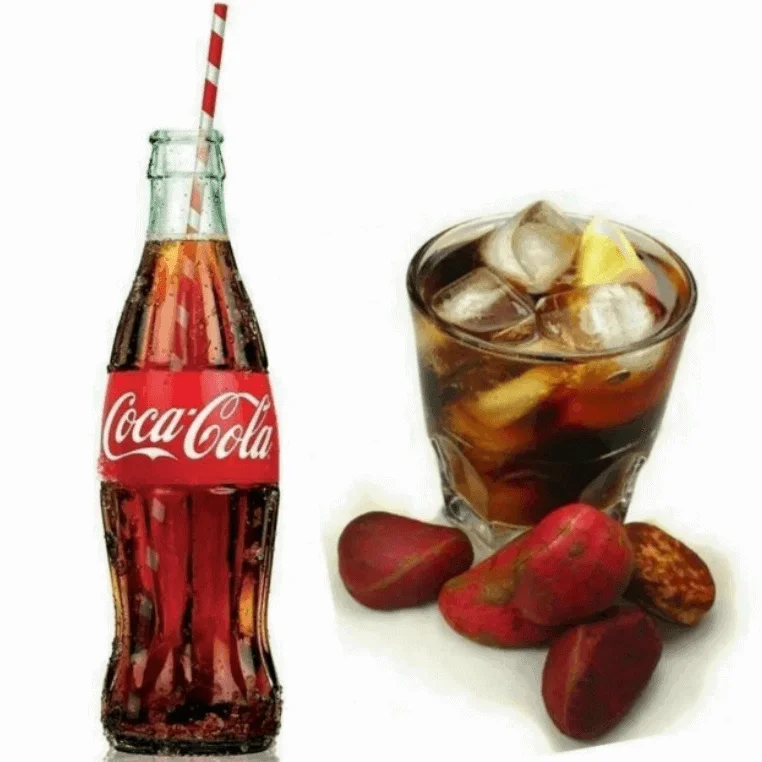 hạt kola thành phần tạo nên coca cola